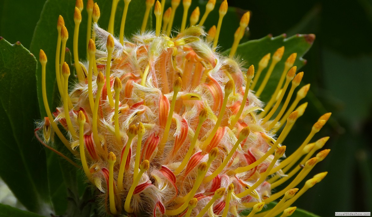 P1260676