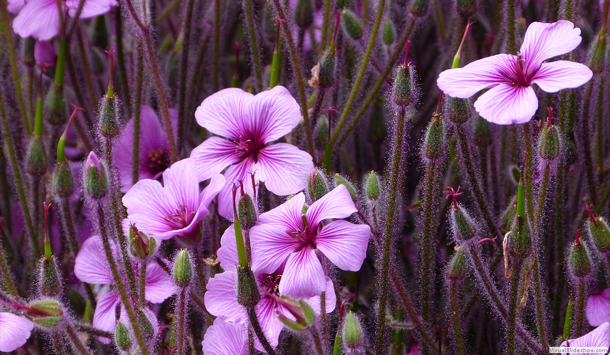 P1260684