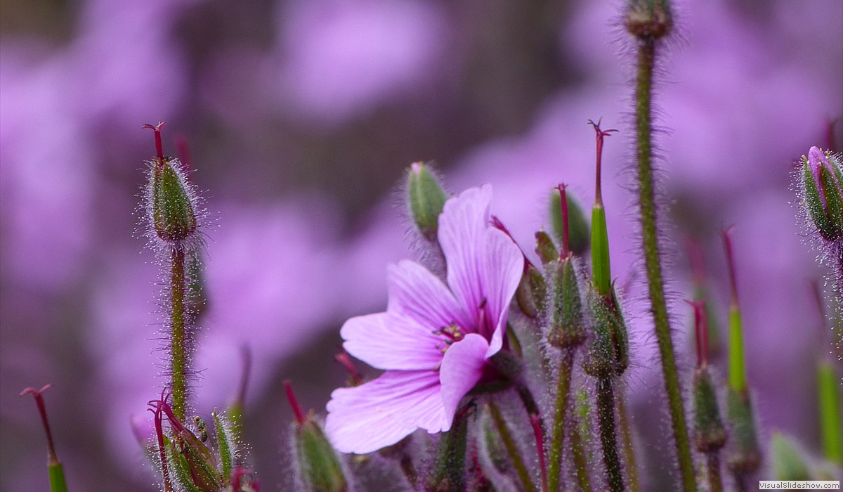 P1260744