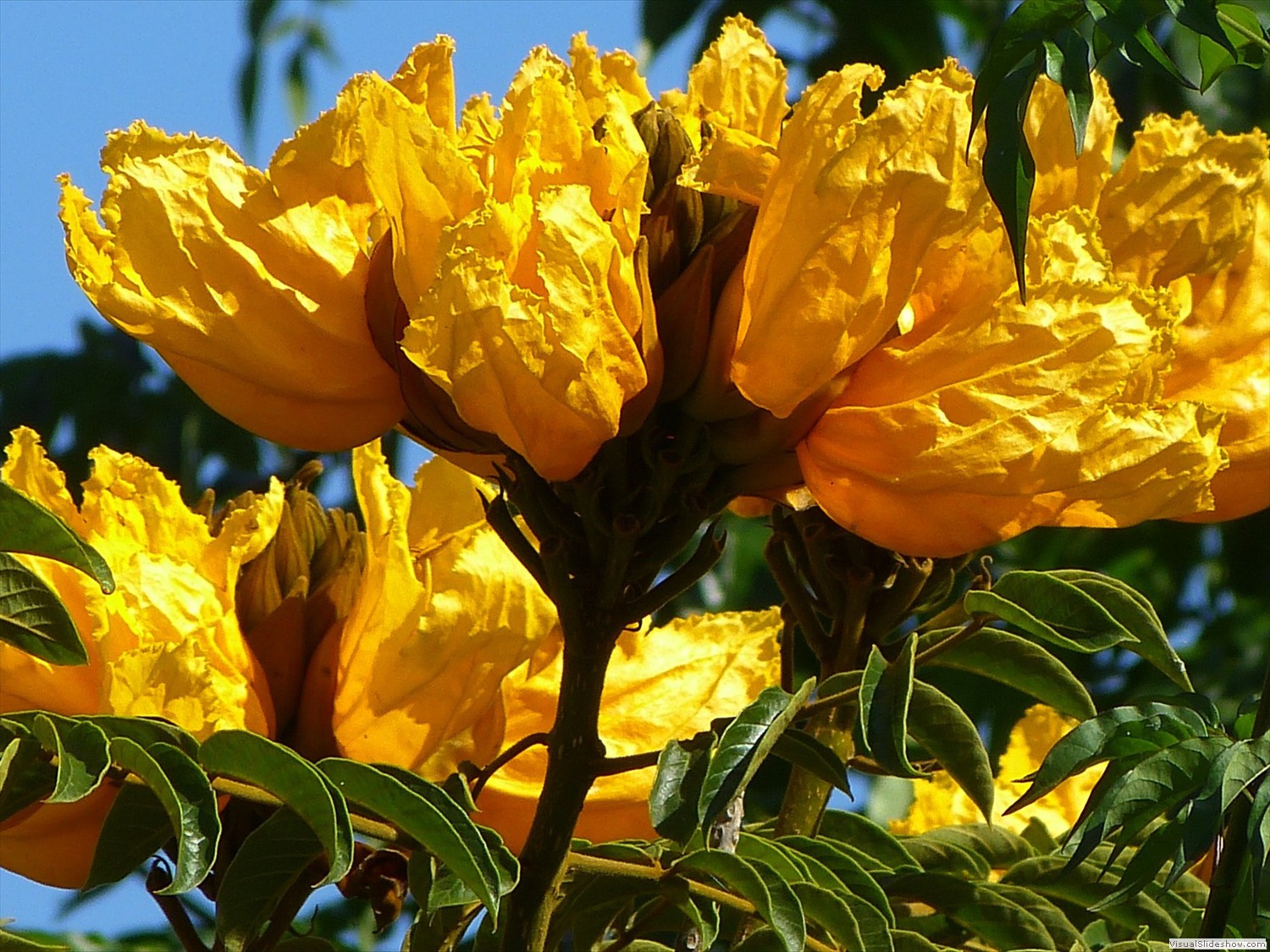 p1430392x