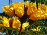 p1430392x