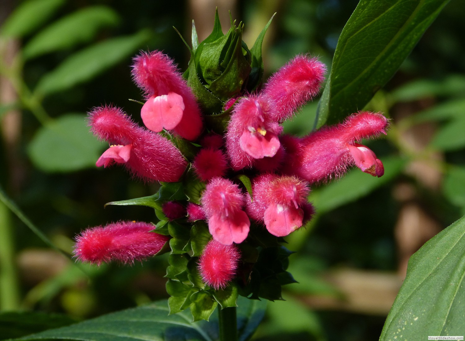 P1070674
