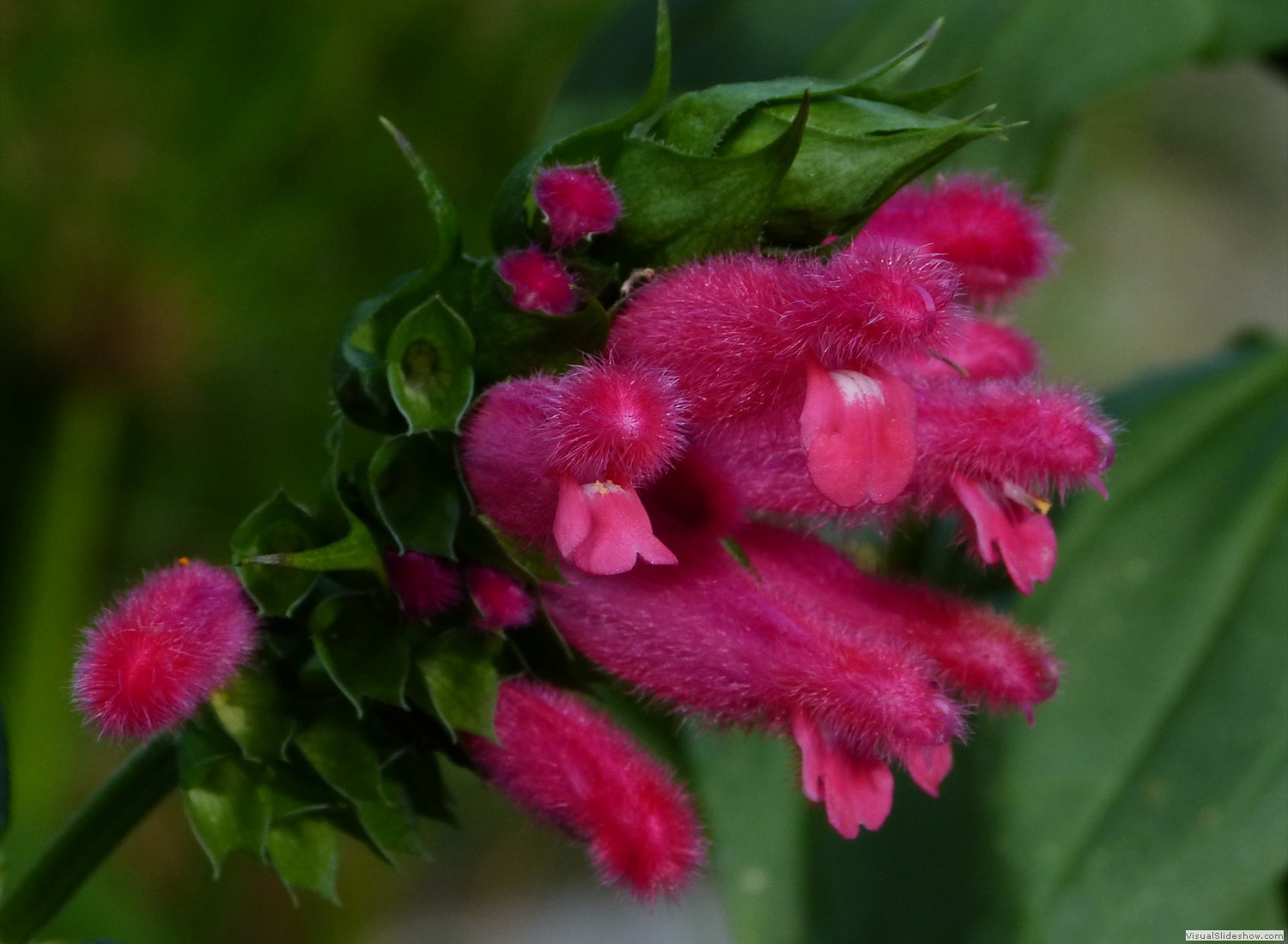 P1070682