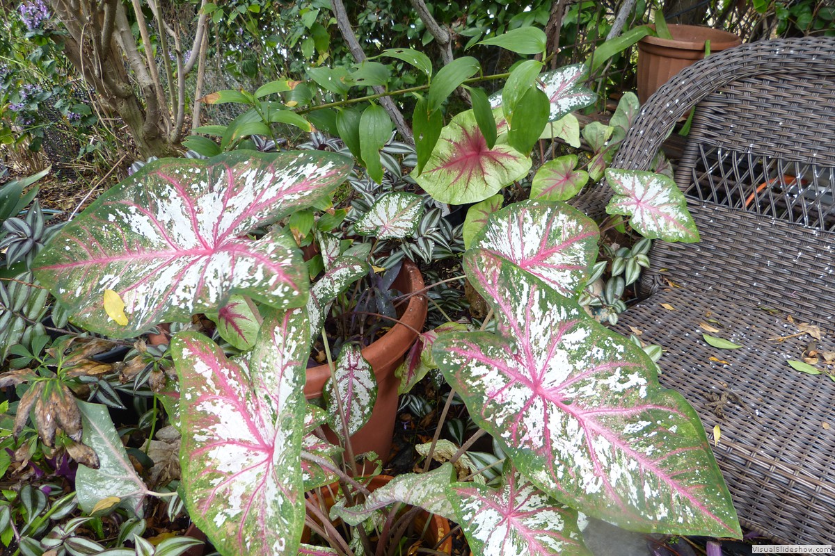 P1380529