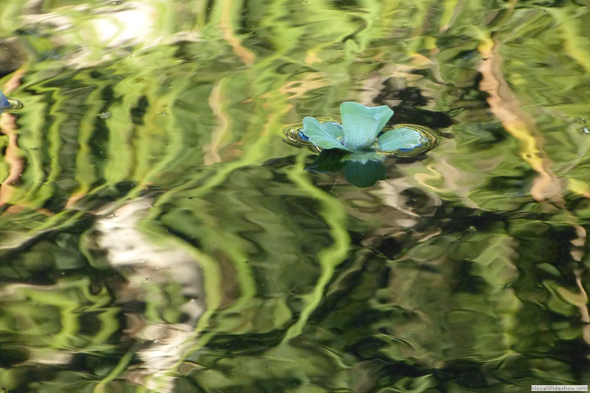 P1380774