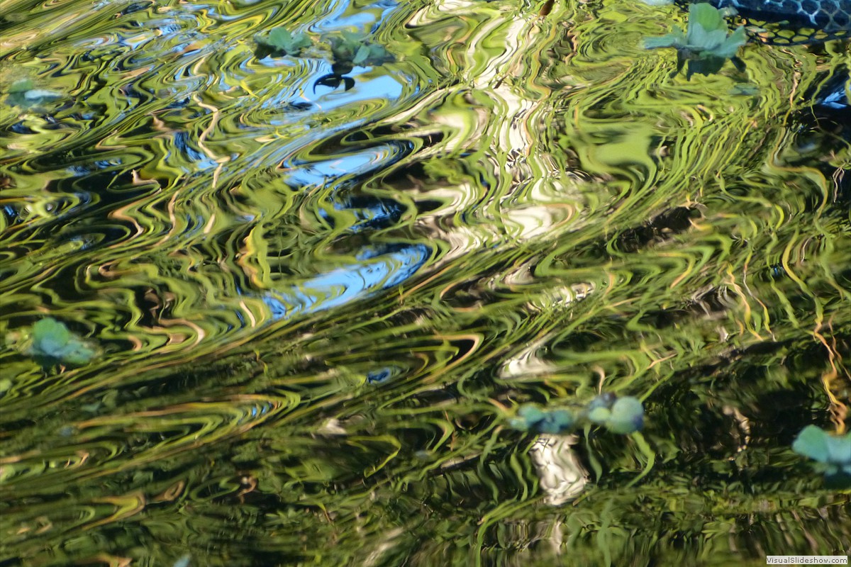 P1380785