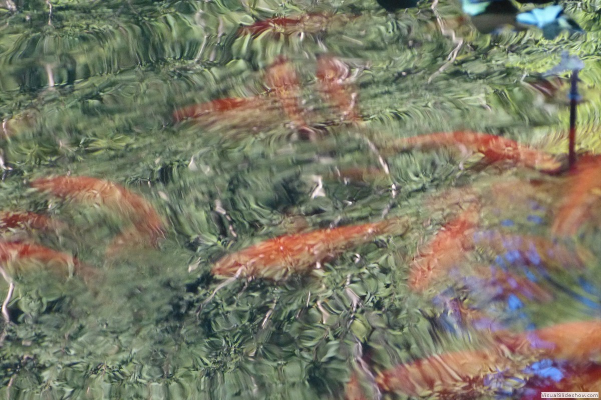 P1380786