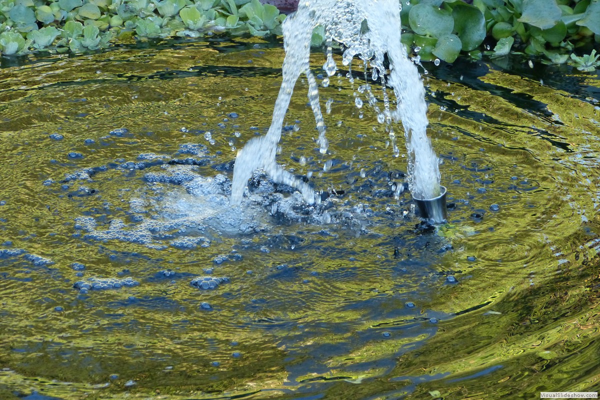 P1380791