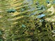 P1380784
