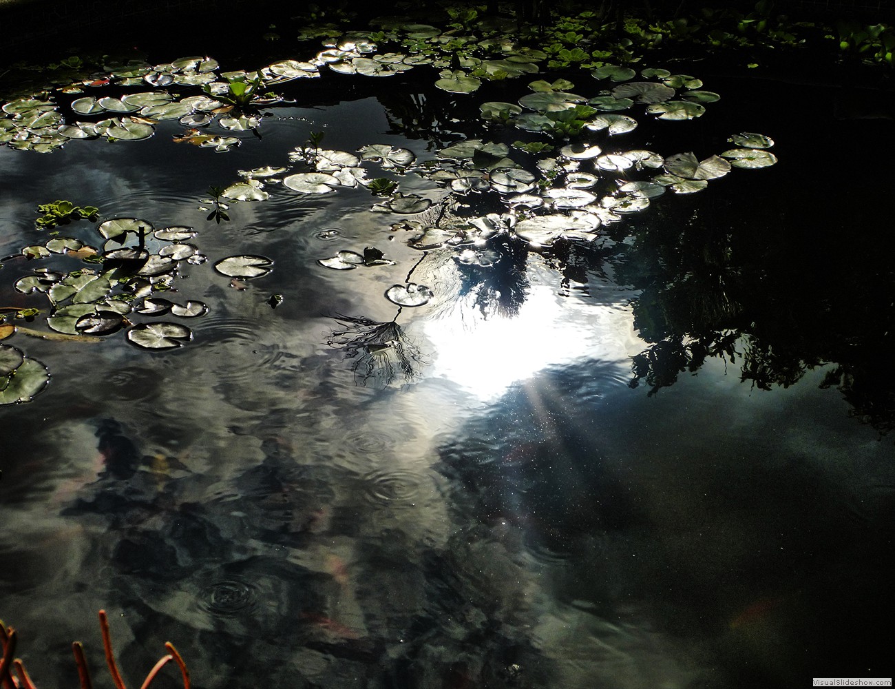 P1120901_easyHDR-night-strong