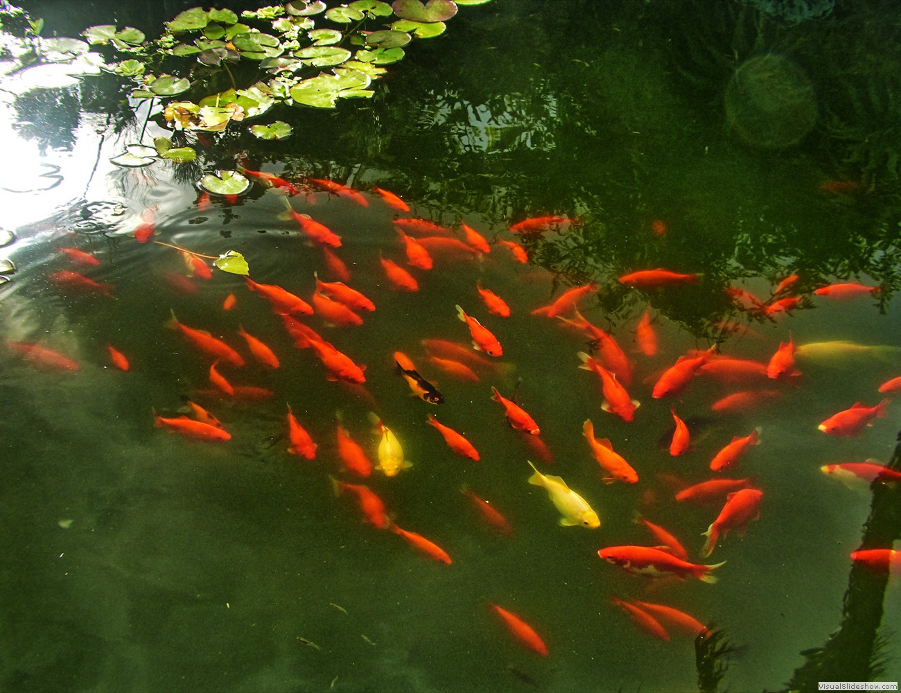 P1120907_easyHDR-high-contrast2