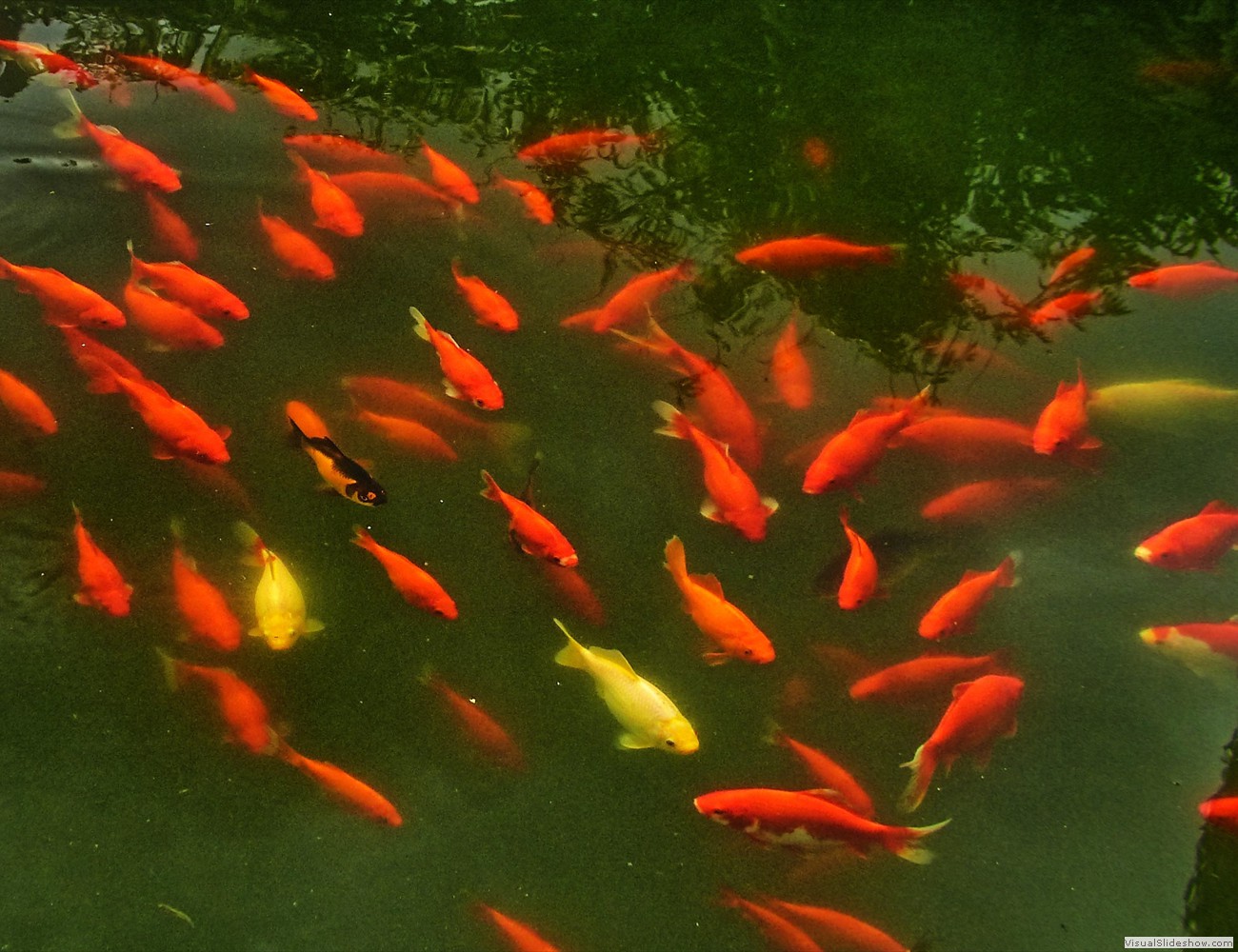 P1120907_easyHDR-high-contrast2x