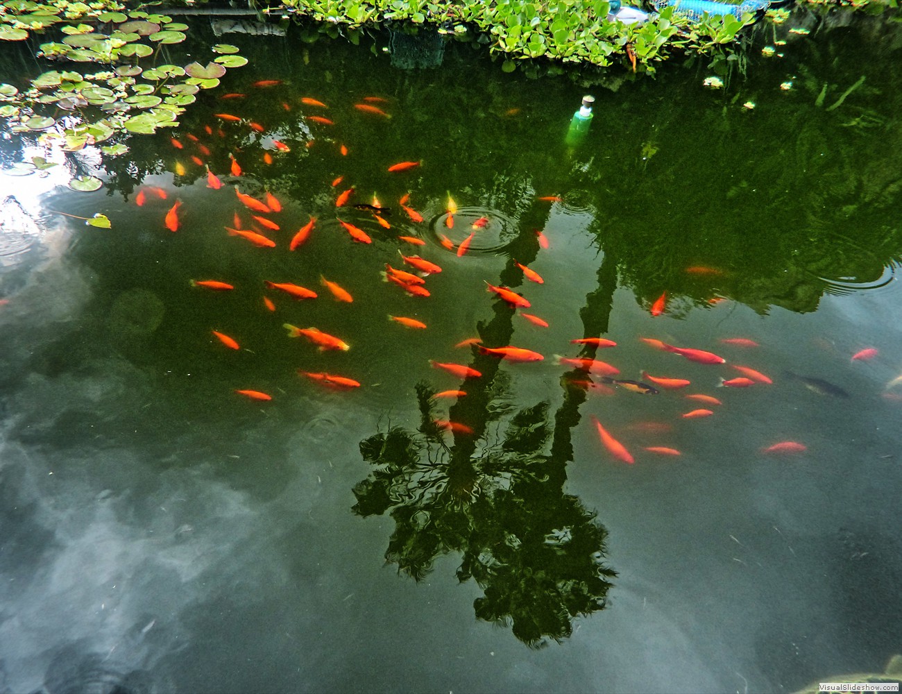 P1120916_easyHDR-dramatic-strong