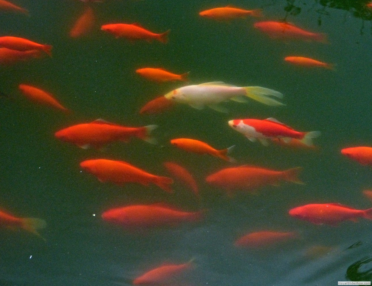 P1120923_easyHDR-natural