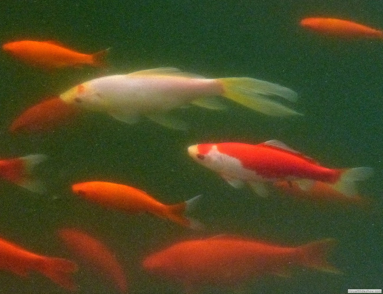 P1120923_easyHDR-naturalx