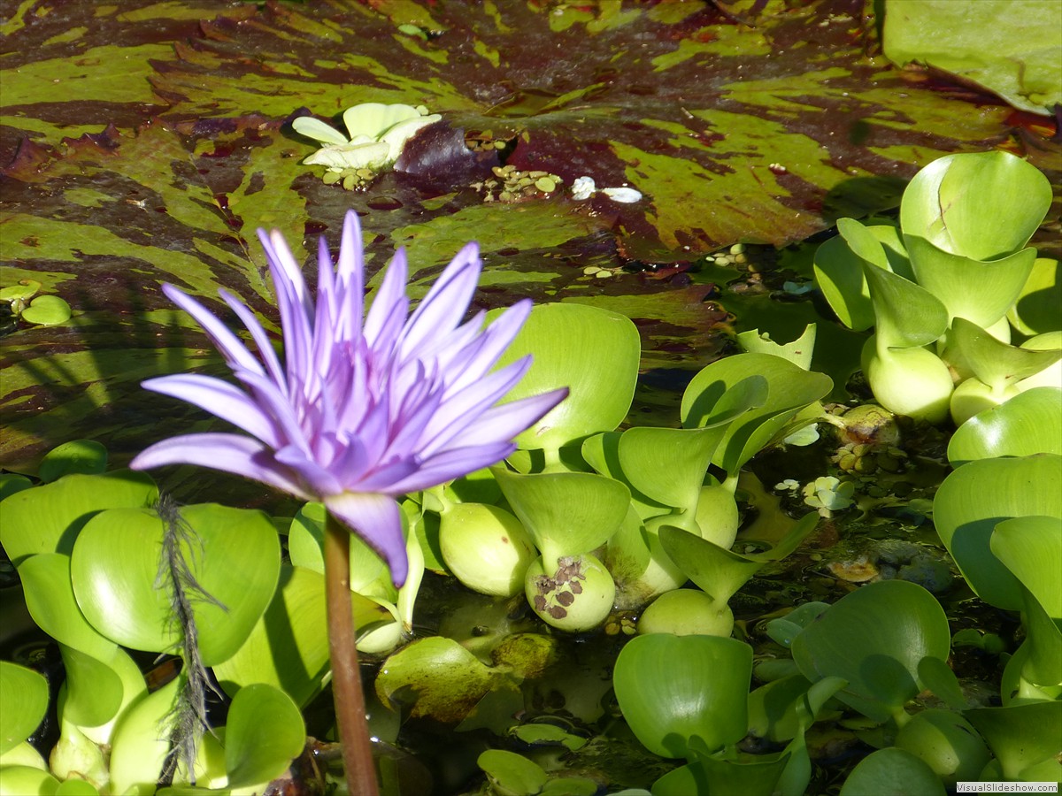 P1230186