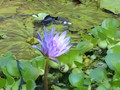 P1230226