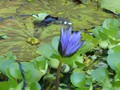 P1230246