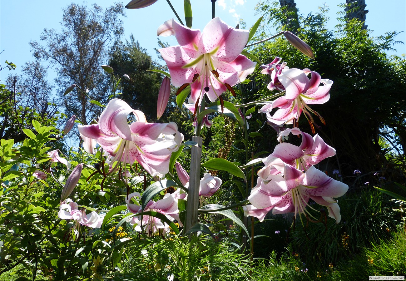 P1280868