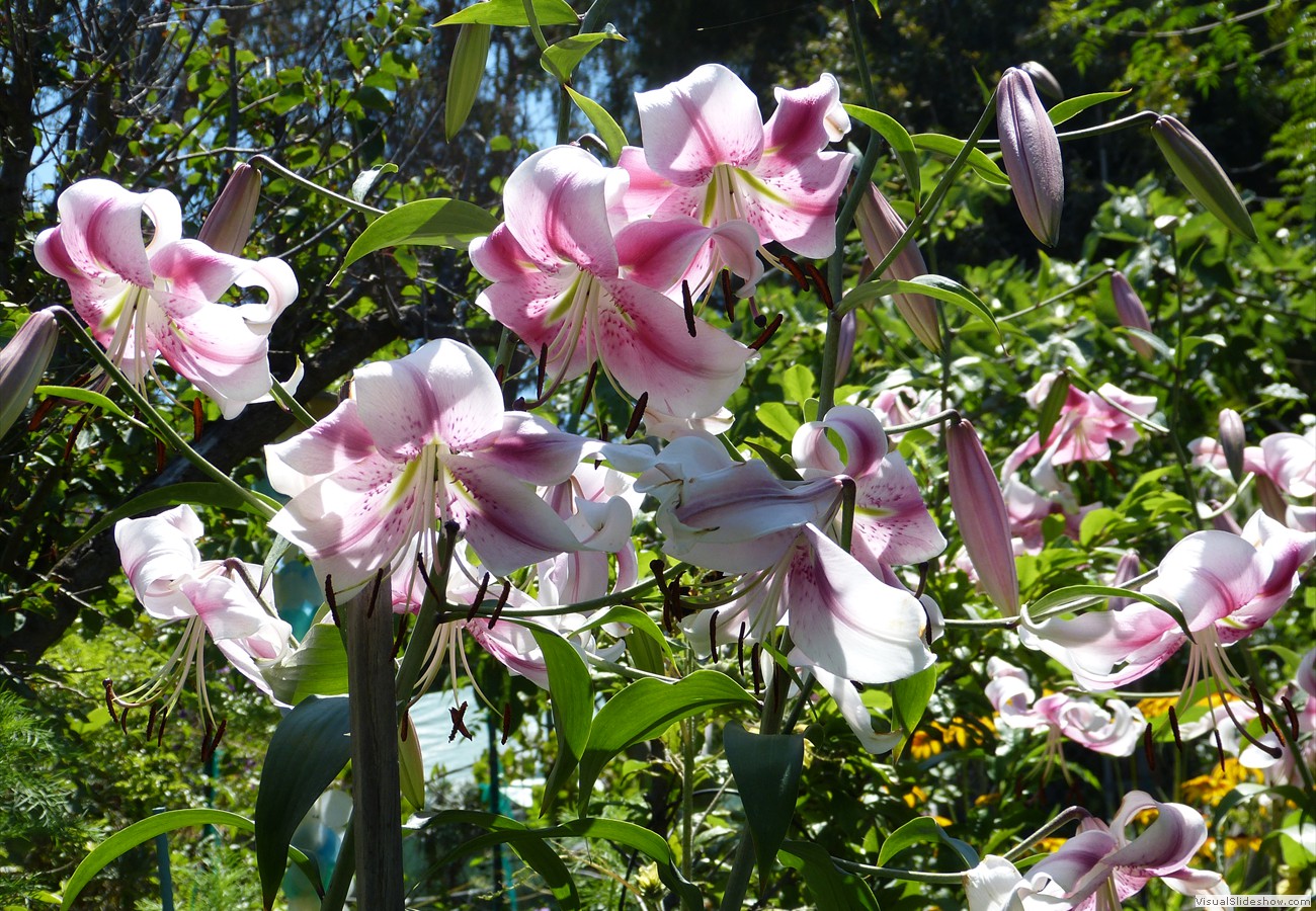 P1280881