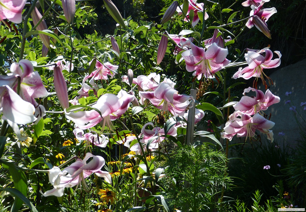 P1280882