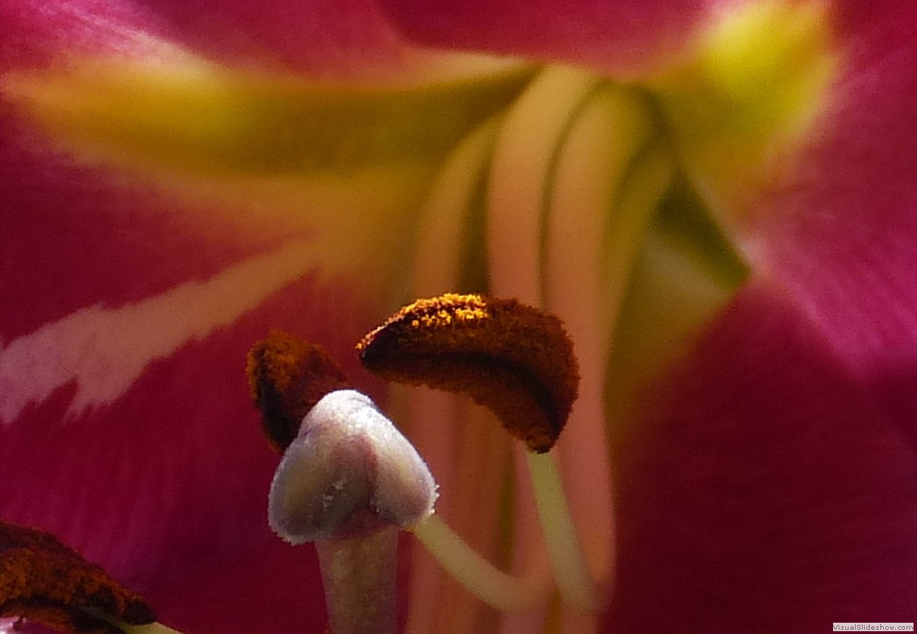 P1290050XXXX