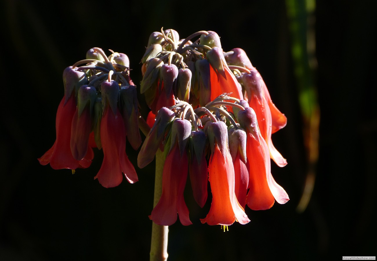 P1470431