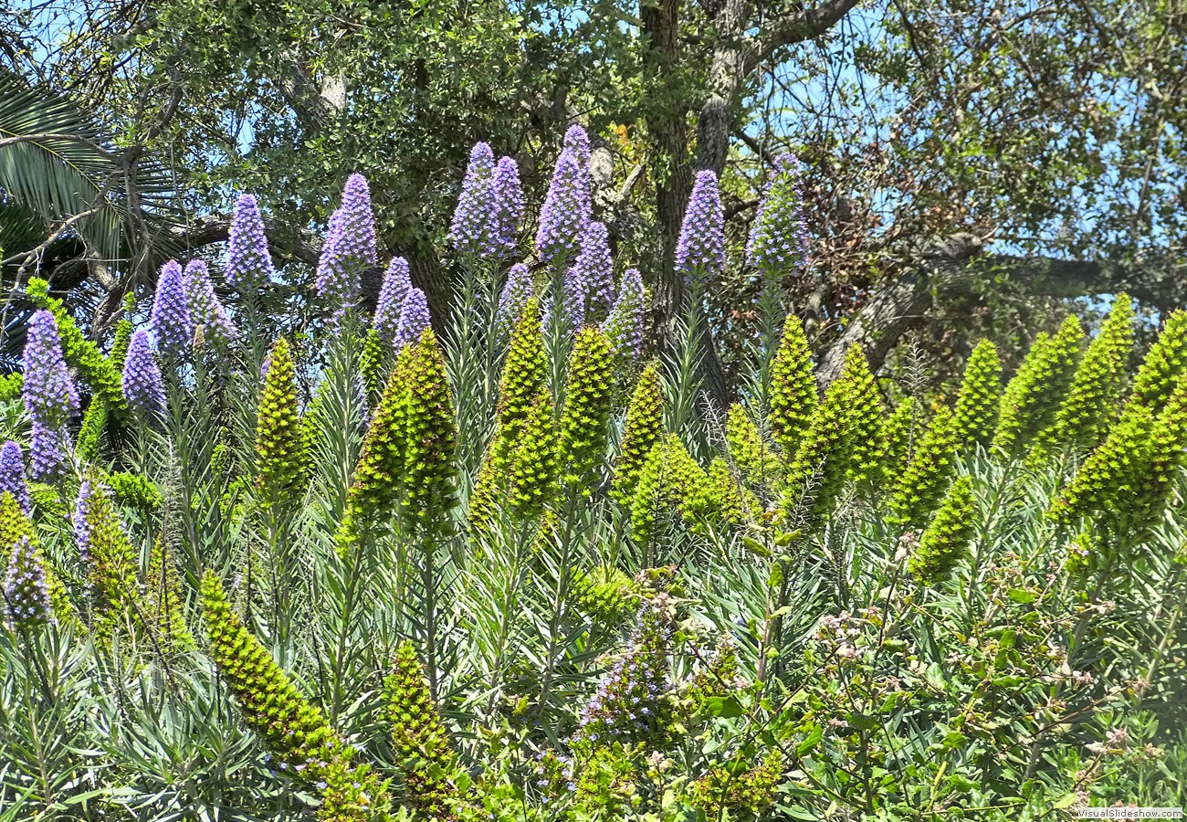 P1360292_easyHDR-default