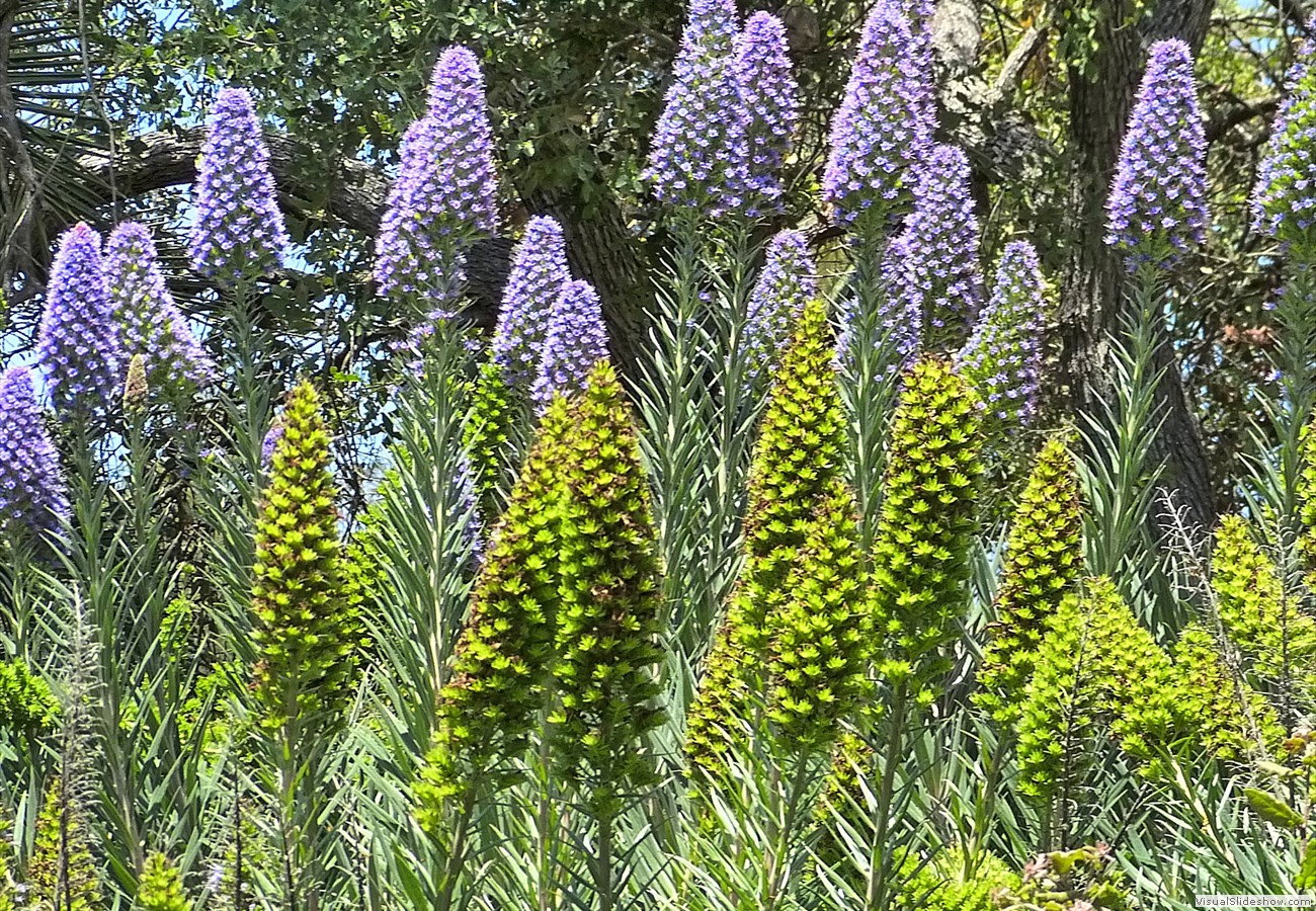 P1360292_easyHDR-defaultX