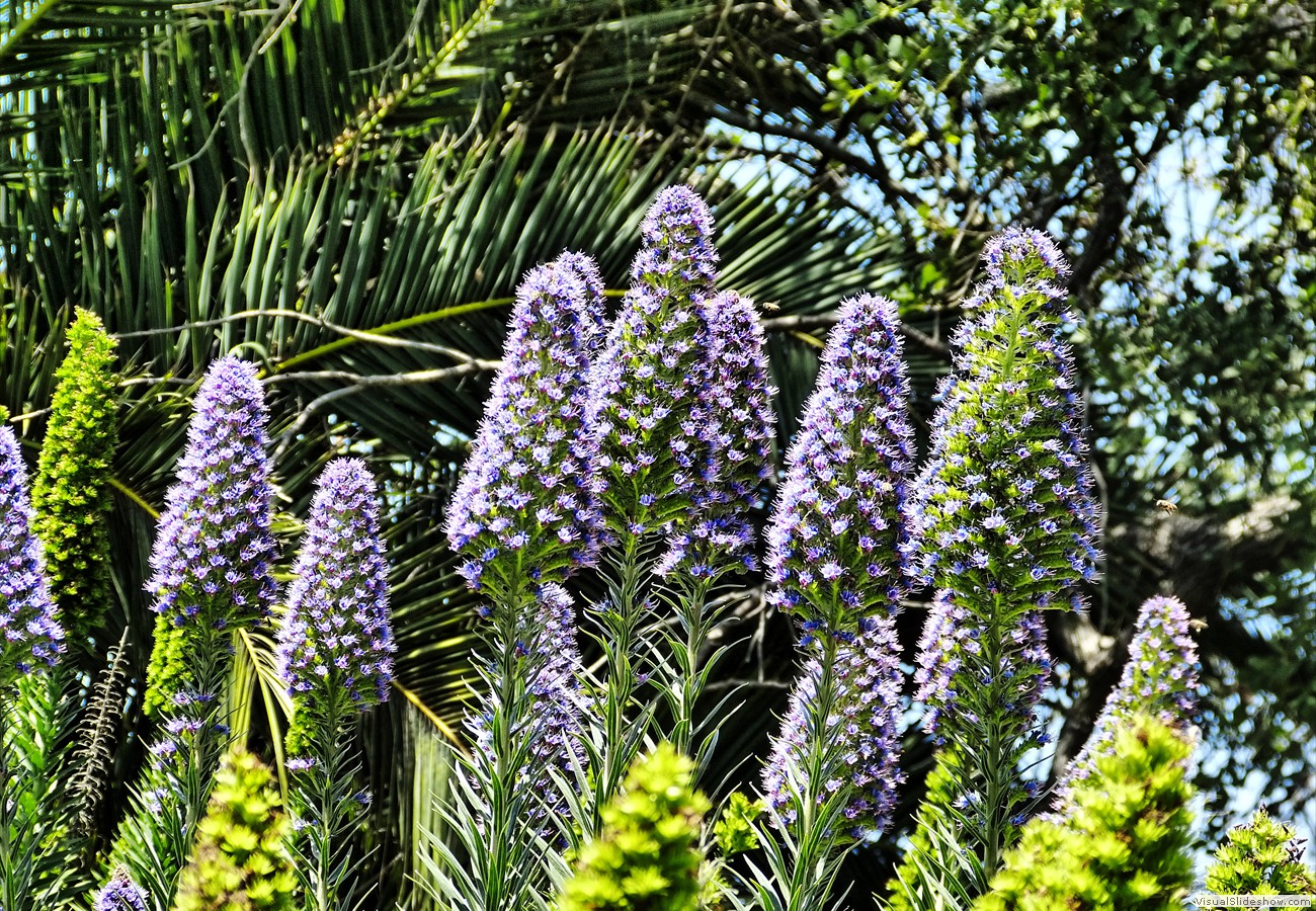 P1360302_easyHDR-NIGHTc-STRONG