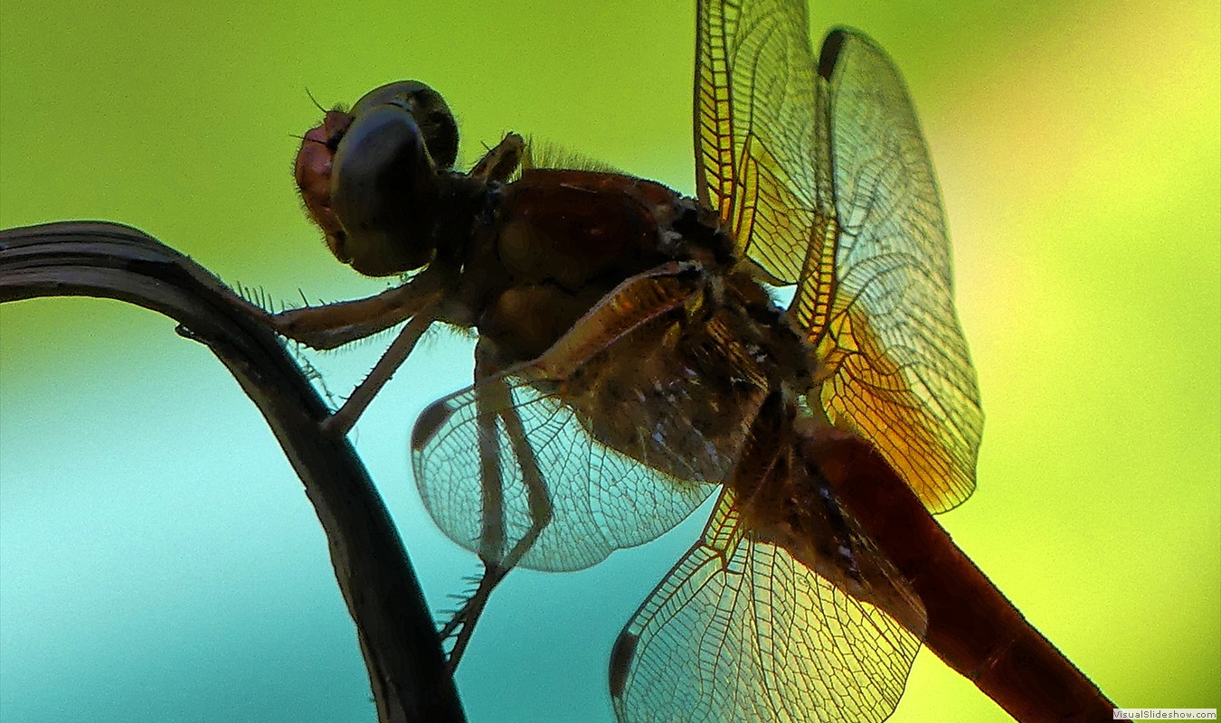 P1000286_easyHDR-default