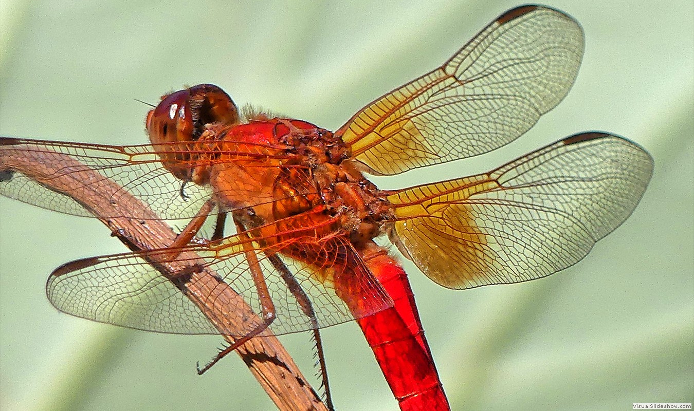 P1000290_easyHDR-default