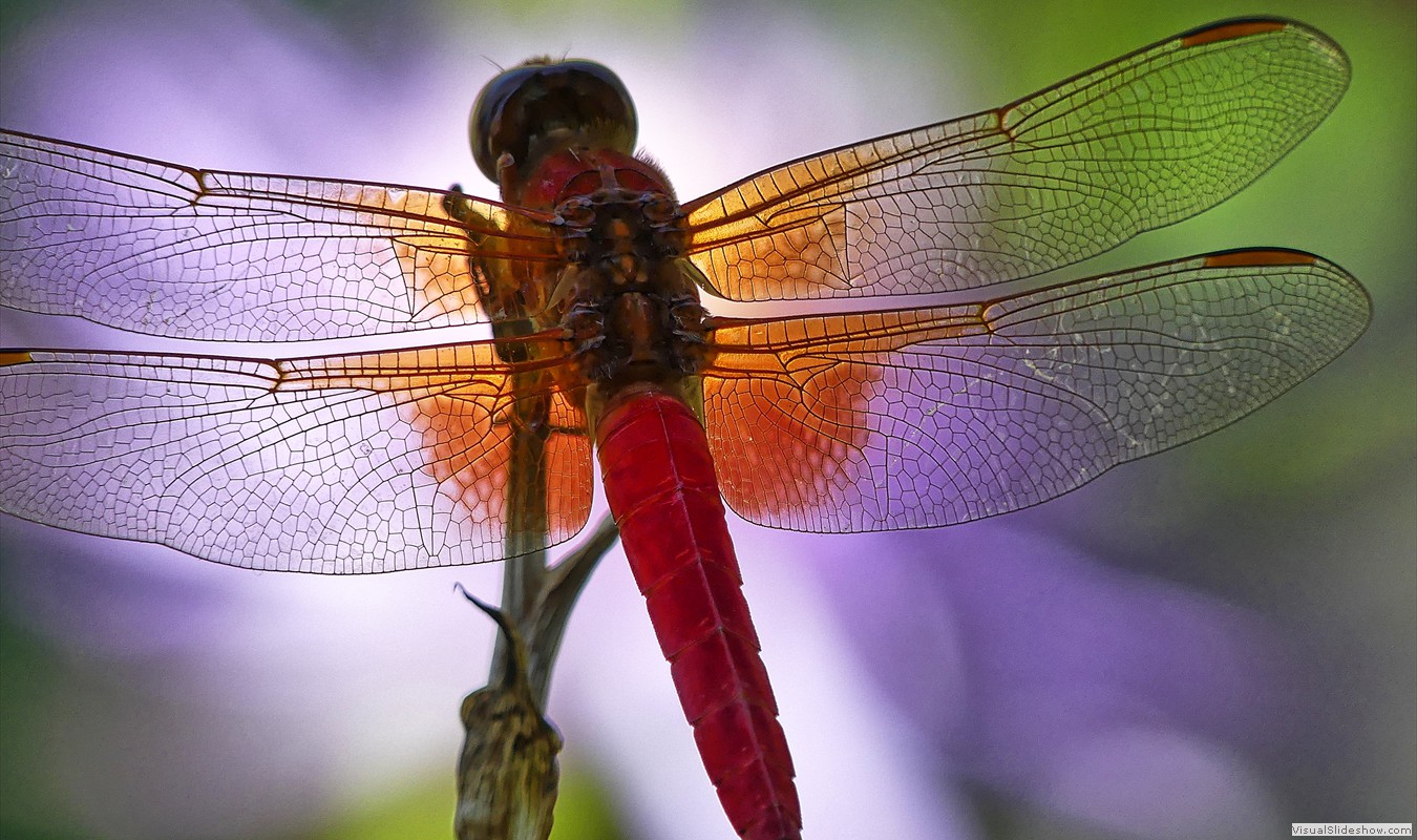 P1000364_easyHDR-natural2