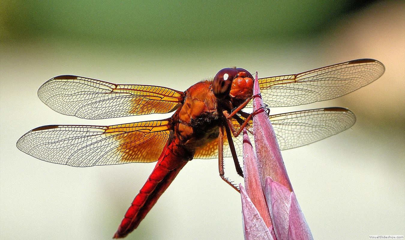 P1490933_easyHDR-default