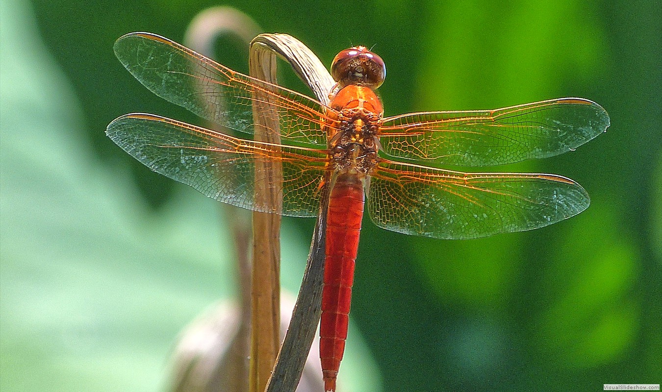 P1500527_easyHDR-default