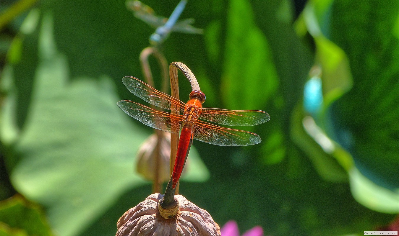 P1500532_easyHDR-default