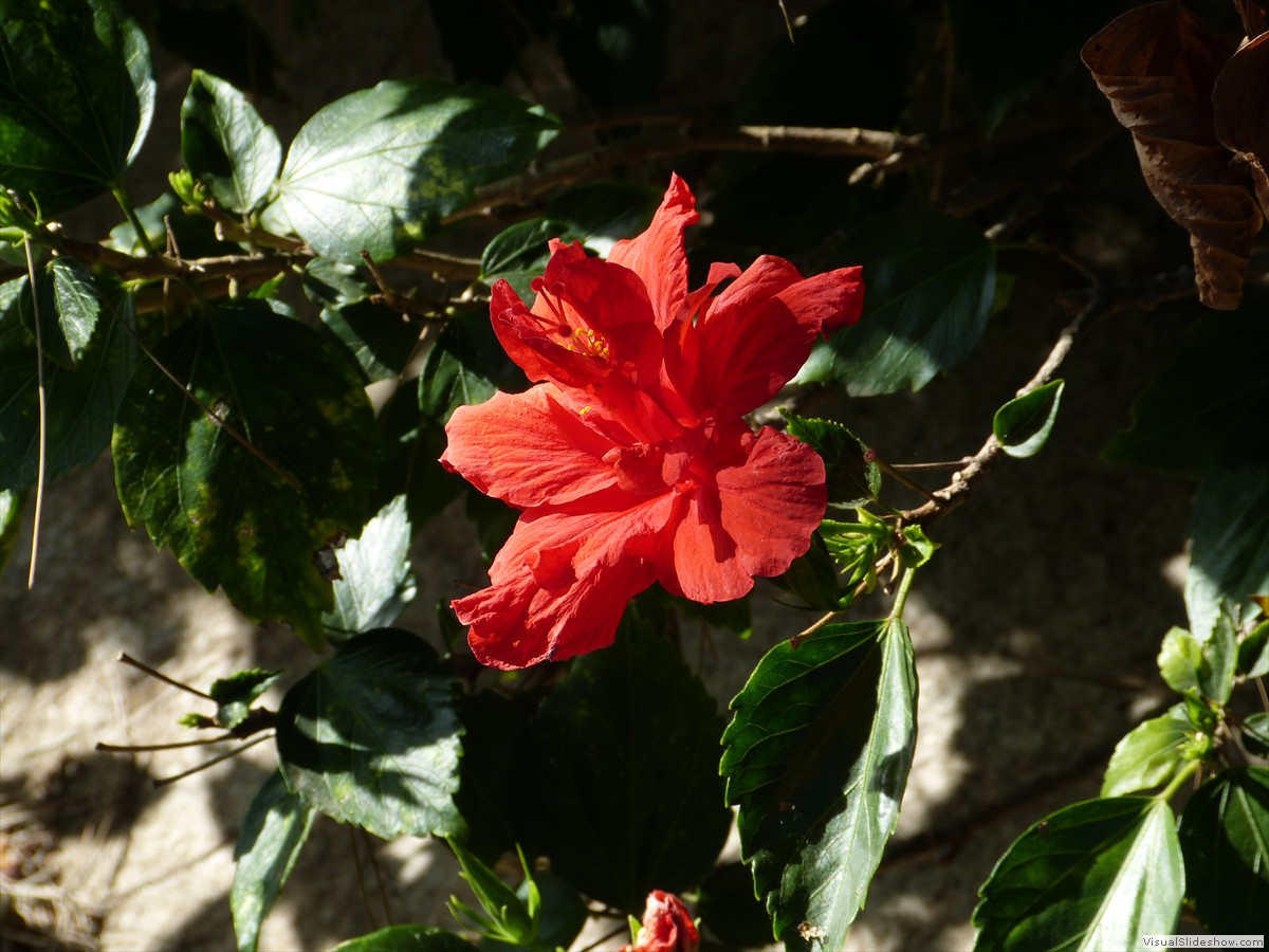 P1370321