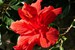P1370323_easyHDR2