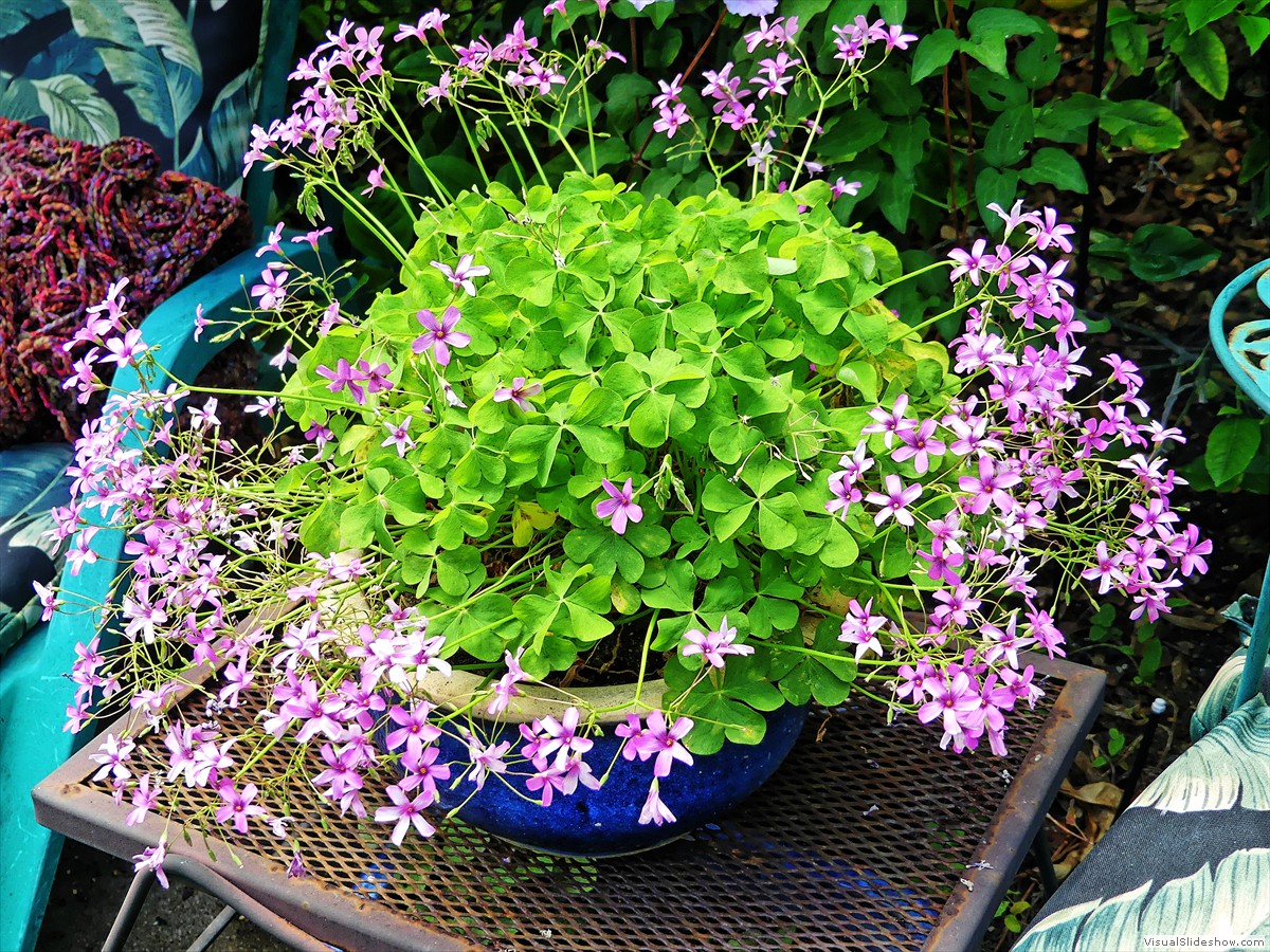 P1160419_easyHDR-enhance3