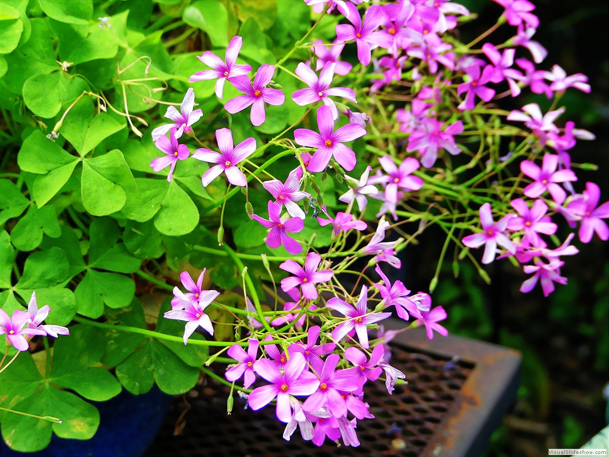 P1160420_easyHDR-high-contrast4