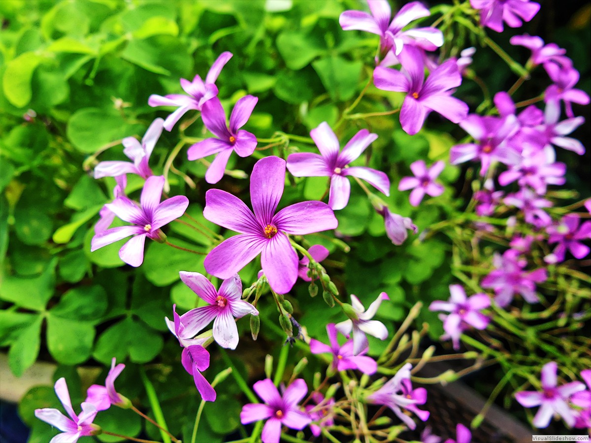 P1160421_easyHDR-enhance3