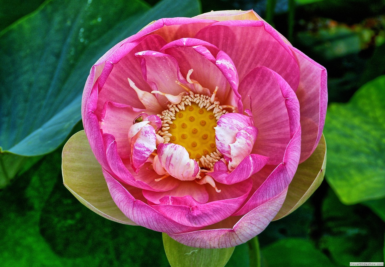 P1370788_easyHDR-dramatic-dark