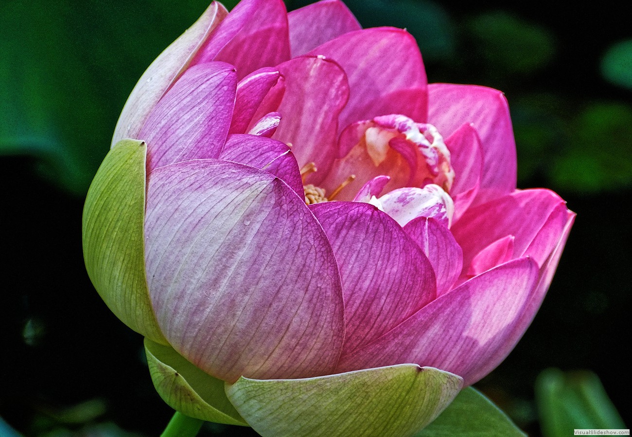 P1370794_easyHDR-enhance4