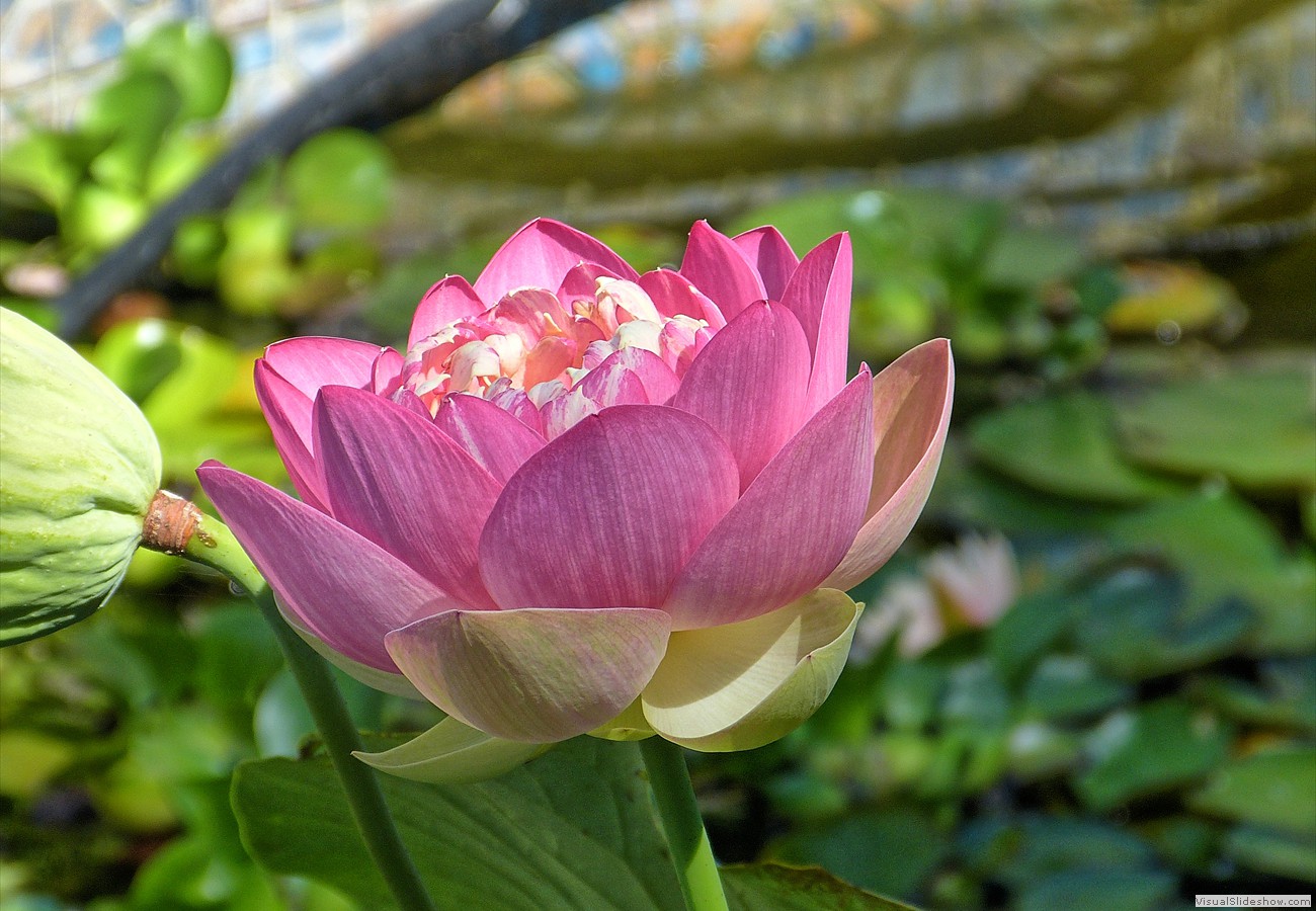 P1390574_easyHDR-default