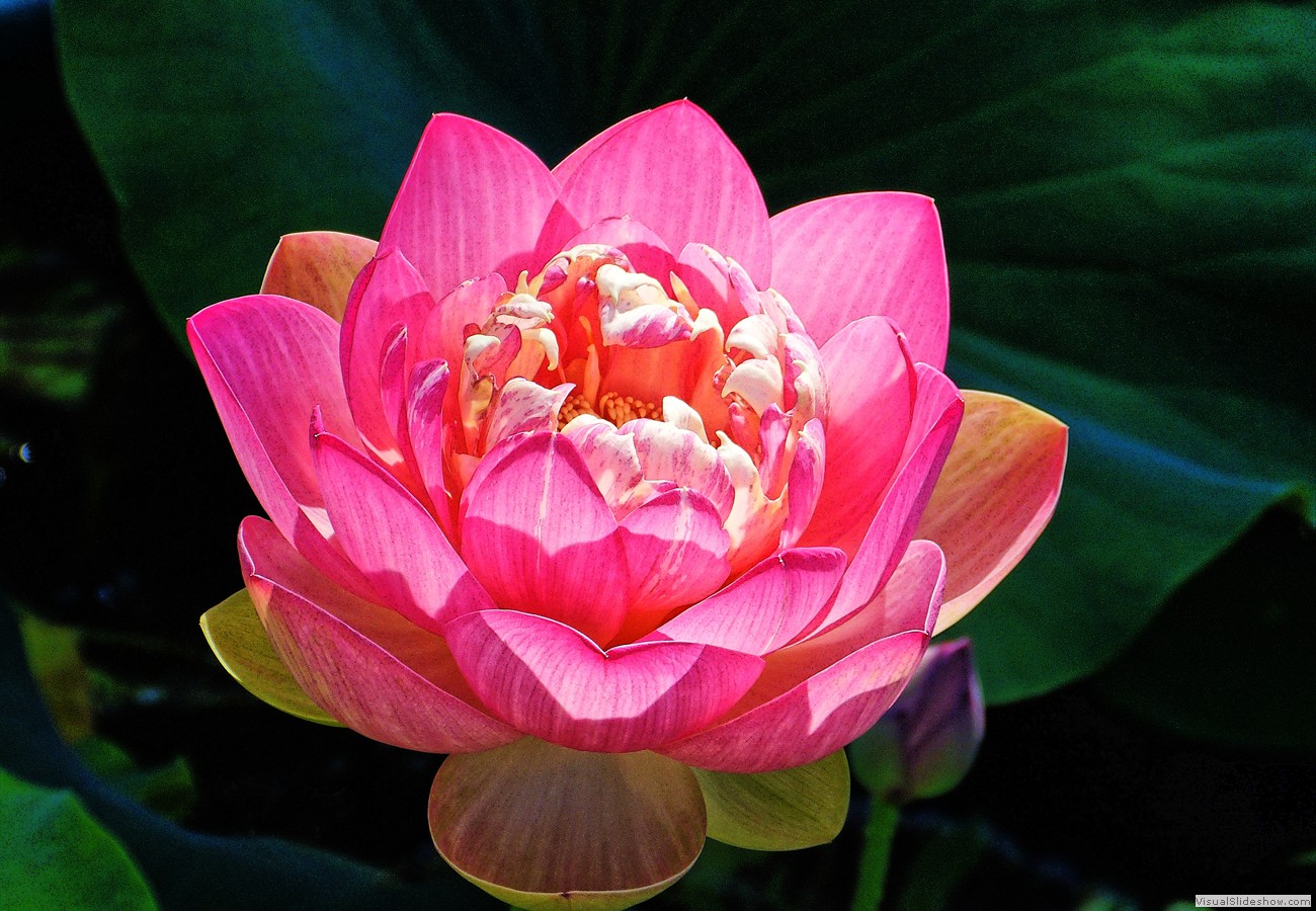 P1390580_easyHDR-enhance3