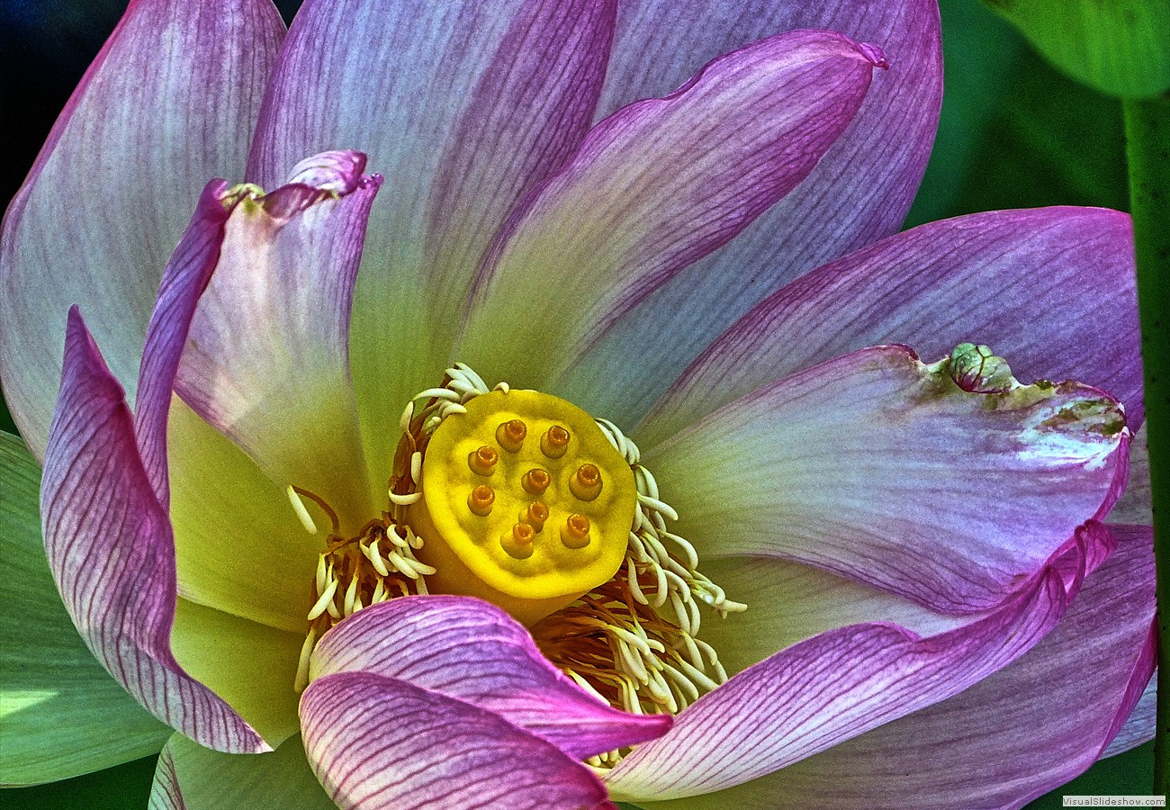 P1480887_easyHDR-high-contrast2