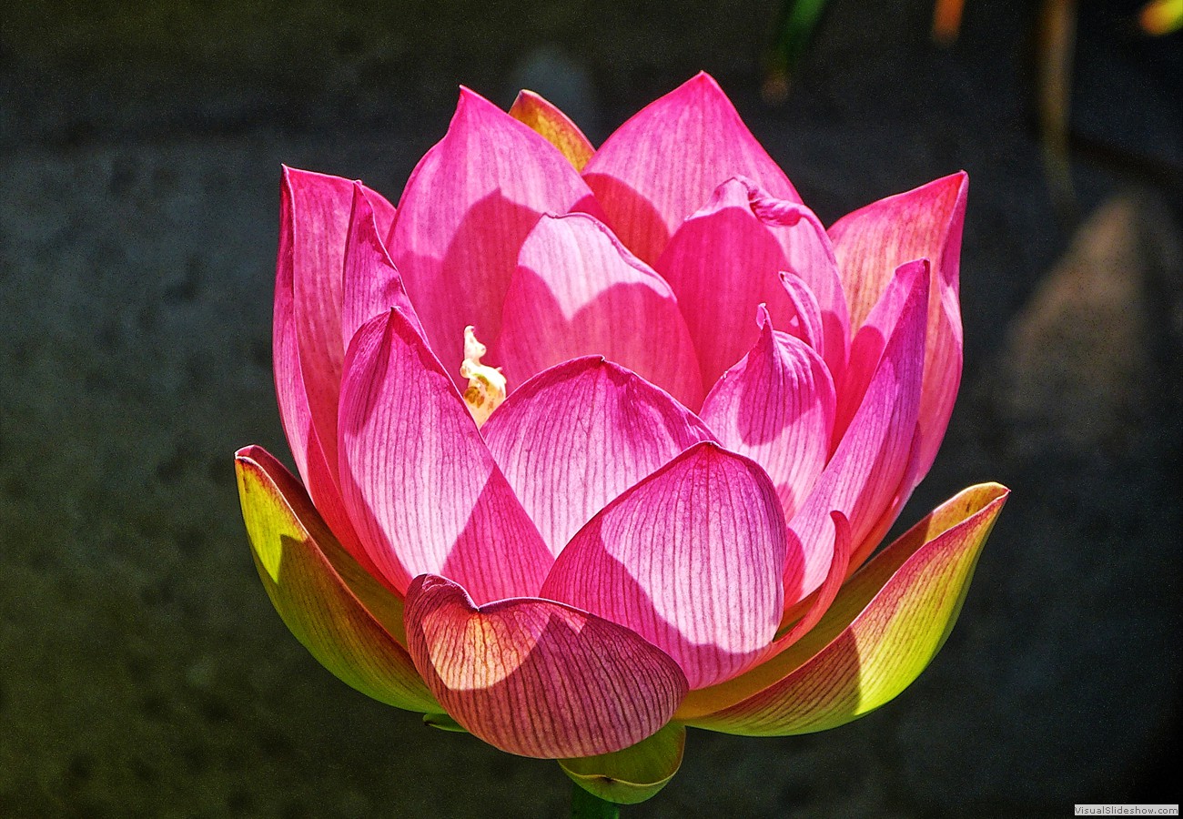 P1480928_easyHDR-enhance4