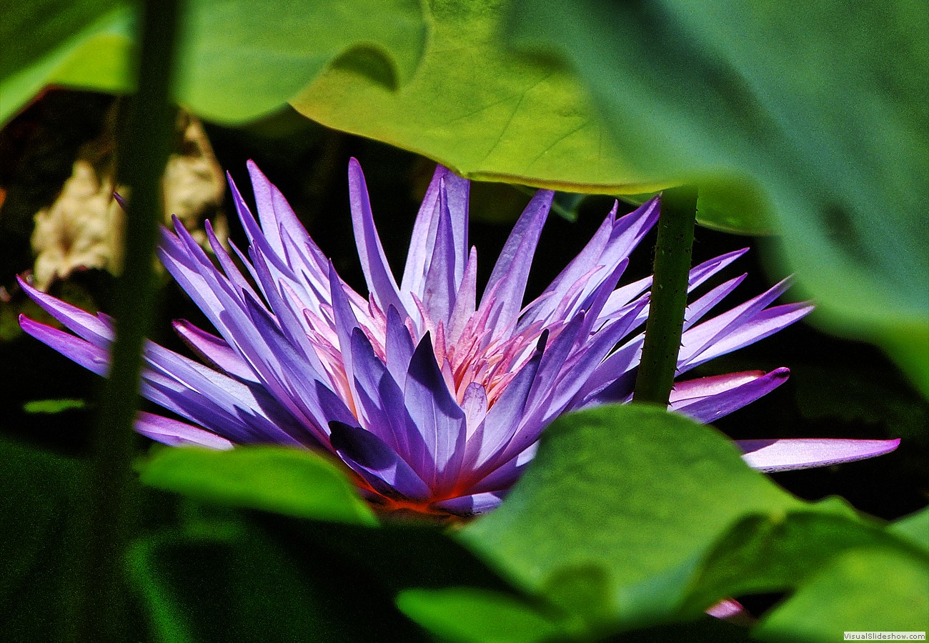 P1490328_easyHDR-night-strong