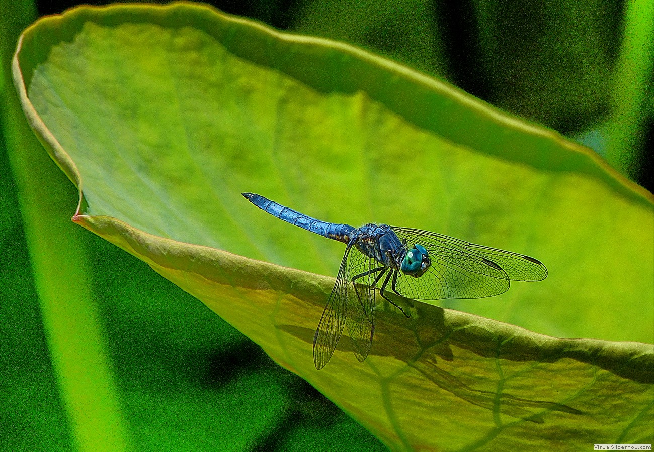 P1490345_easyHDR-interior4