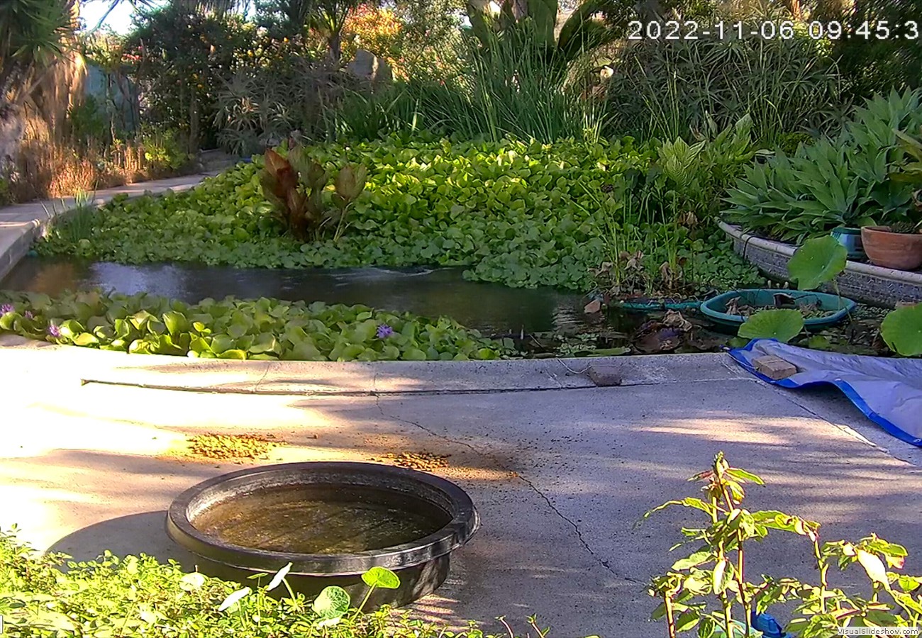 bandicam 2022-11-06 08-41-43-767